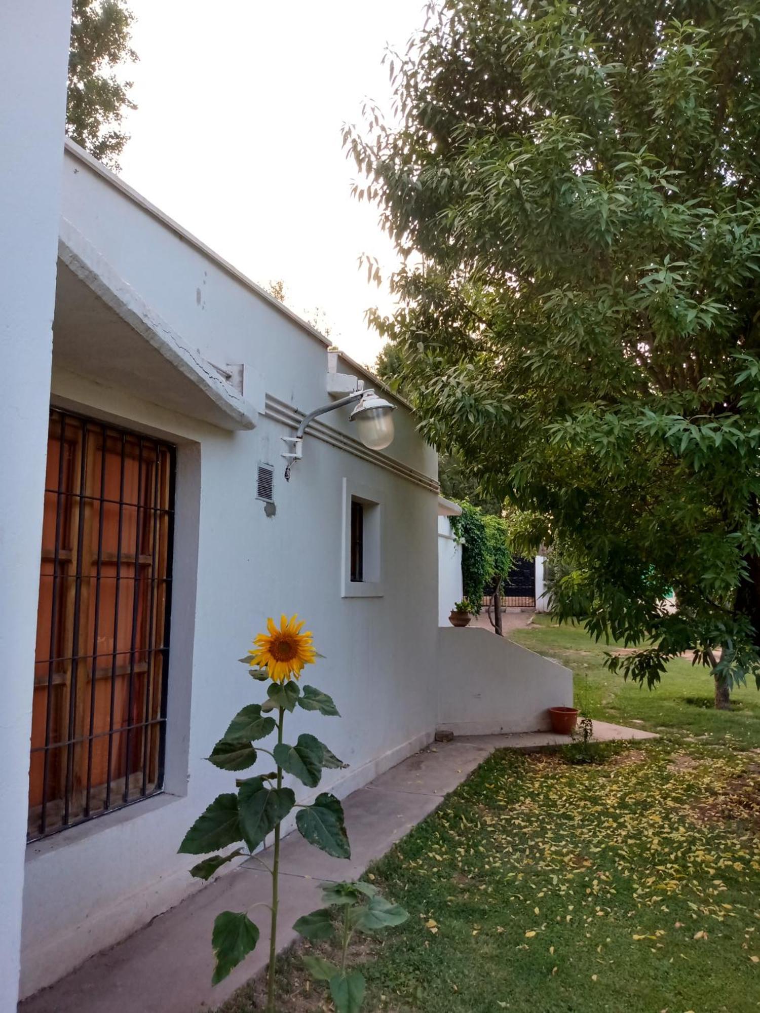 Los Siete Chakras Acomodação com café da manhã Lujan de Cuyo Exterior foto
